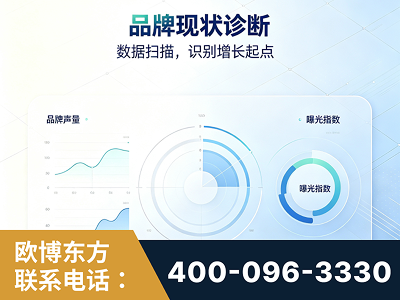 资阳-品牌现状诊断