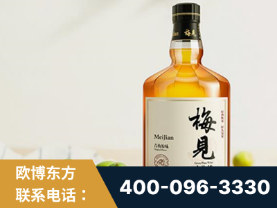 资阳-梅见青梅酒