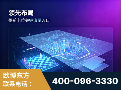 资阳-领先布局：于2024年初开启GEO业务的公司